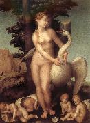 Andrea del Sarto Swan painting